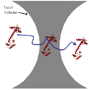 Single molecule passes through focal volume